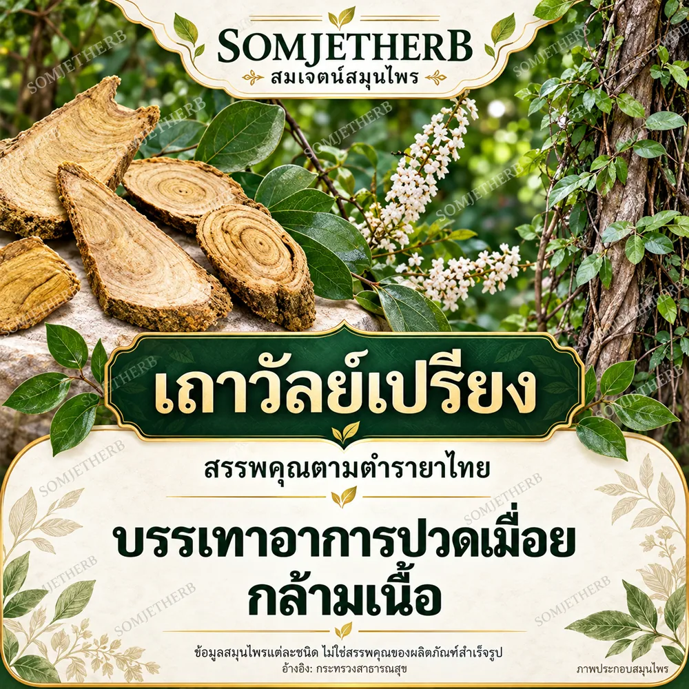 เถาวัลย์เปรียง